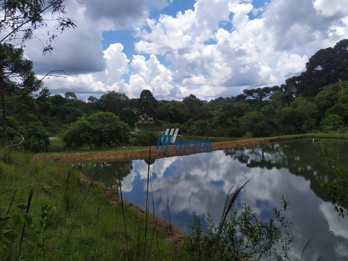 Chácara Com 5 Dormitórios À Venda, 45824 M² Por R$ 850.000 - Quatro Pinheiros - Mandirituba/paraná - Ch0173