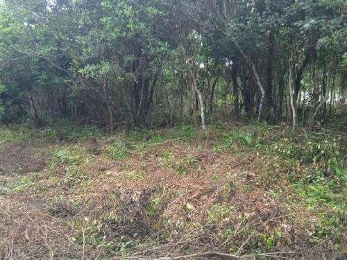 Imagem 6 de 6 de Terreno No Litoral, Aceita R$25mil De Entrada + Parcelas!!