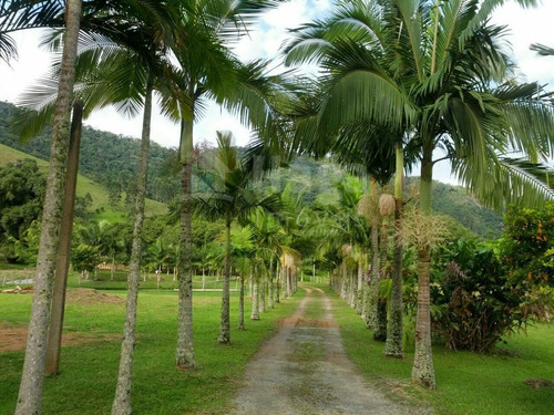 Imagem 26 de 30 de Chácara À Venda No Bairro Cerro - Camboriú/sc - 1654c
