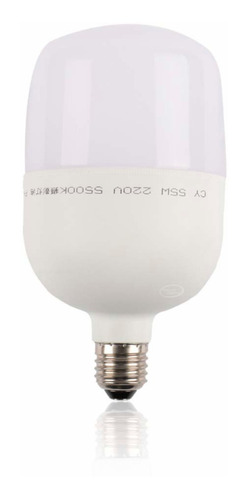 Luz Led Bulb Estudio Fotografico Illuminacion 55w 5500k