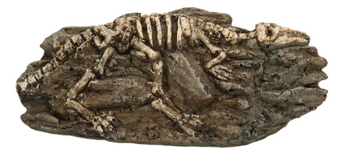 Adorno De Resina Para Acuario Con Diseño De Fósil De Dinosau
