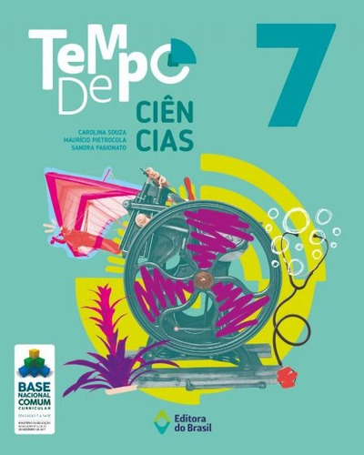 Tempo de Ciências - 7º Ano - Ensino fundamental II, de Souza, Carolina. Série Tempo Editora do Brasil, capa mole em português, 2019