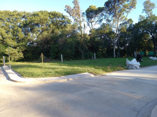 Excelentes Lotes A La Venta En Bella Vista