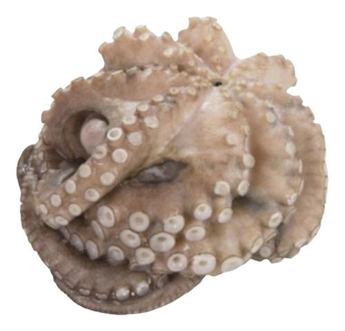 Pulpo Congelado