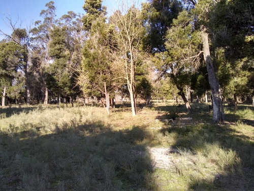 Imagen 5 de 7 de 4.92 Hectáreas(las Tahonas, Partido De Punta Indio).