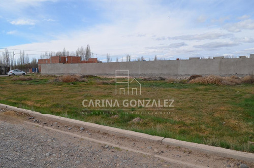 Imagen 13 de 16 de Venta Terreno 996m2 Apto Desarrollo Confluencia Rural Neuquén