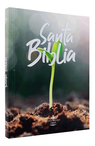 Biblia Reina Valera 1960 Rústica Concordancia Promesas
