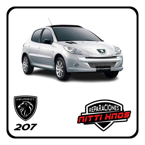 Juego Pico Rociador Sapito Peugeot 206/207 99/