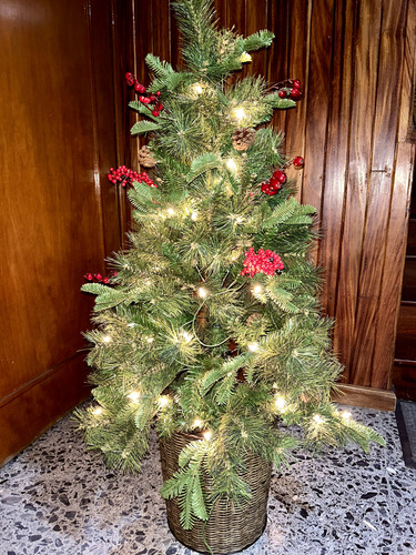 Árbol De Navidad De Pórtico Con Luz Incluida. 1.22 M (Usado)