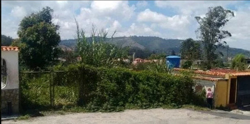 Imagen 2 de 5 de Terreno En Venta En Las Polonias, San Antonio. 04142406660