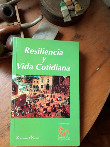 Resiliencia Y Vida Cotidiana / Varios