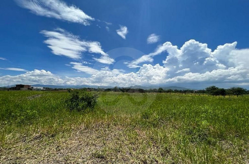 Terreno En Venta En Pinar De La Laguna 17 Atotonilco El Bajo Villa Corona