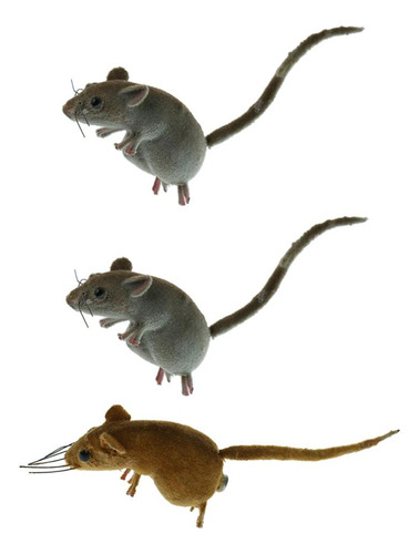 3x Verdad A La Naturaleza Ratones Ornamento Animales Ratón