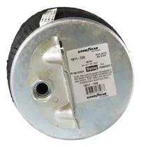 Comprar Bolsa De Aire 1r11-268 Kenworth Hembra Goodyear