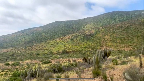 Entre Tongoy Y Guanaqueros