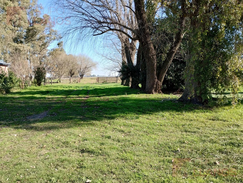 Campo En Venta En Villa Espil, San Andrés De Giles