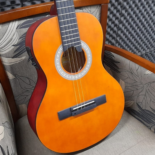 Imagem 4 de 9 de Viola Giannini Eletro Acustica Vs-14 Eq Ns