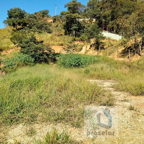 Imagem 8 de 14 de *** Lindo Terreno ***