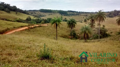 Imagem 6 de 9 de Terreno Com Lagoa Em Bom Jesus Do Amparo - 3020
