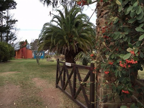 Imagen 3 de 16 de Chacra En La Pataia, Punta Ballena