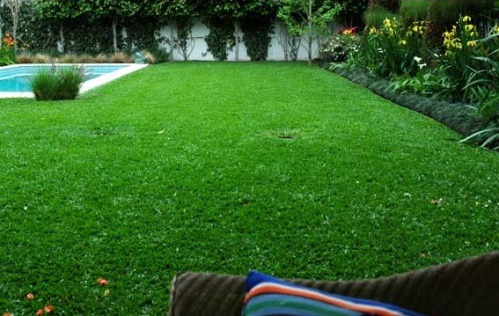 Imagen 7 de 8 de Semillas Grama Bermuda Grass, Gramilla 4 Estaciones X 1 Kg