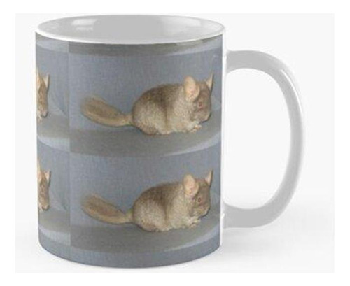 Taza Kit De Chinchilla Marrón Terciopelo Calidad Premium