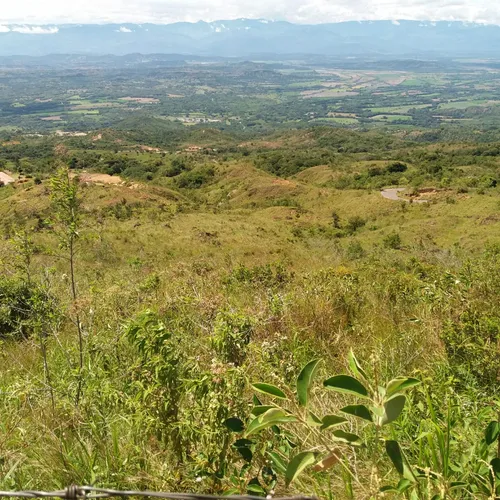 Excelente Finca En Armero