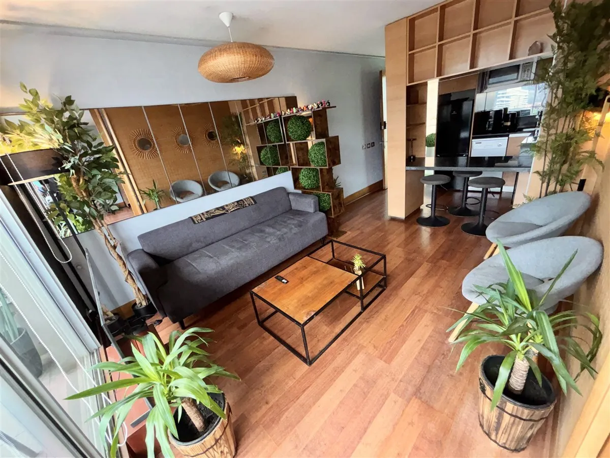 Imagen 4 de 21 de Departamento Venta 1 Dorm. Providencia /la Concepción/ Bx/bd