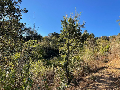 Terreno En Venta En Santa Rosa Con Acceso Vehicular Y Ojo De