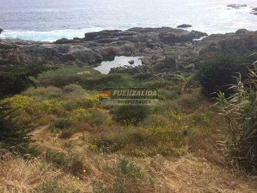 Terreno Construcción En Venta En El Tebo