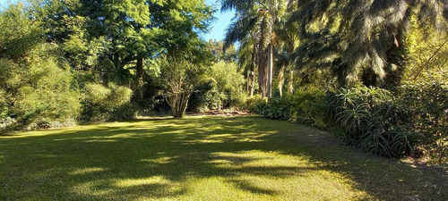 Imagen 3 de 30 de Casa - Abra Vieja