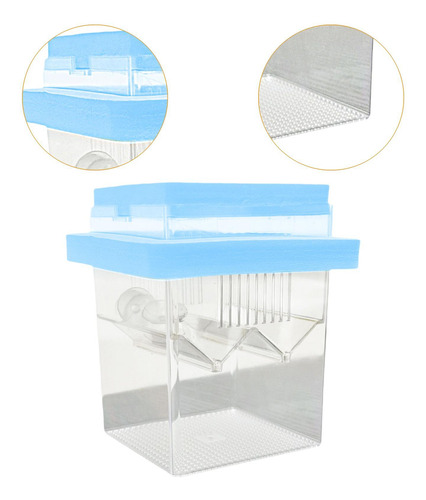 Caja De Reproducción De Peces Flotantes Caja De Azul