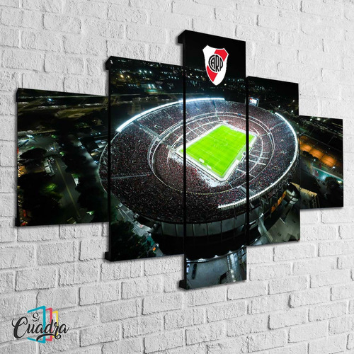 Cuadro River Plate Decorativo Moderno Cancha Futbol