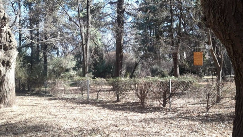 Lote En Av. San Huberto, Nono