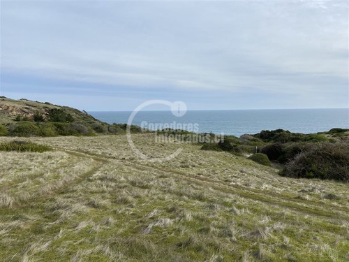 Sitios Venta, Entre Topocalma Y Pichilemu, 5.000 M2, Vista