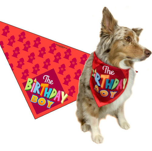 Birthday Boy Birthday Dog Bandana Dog Birthday Scarf Ac...