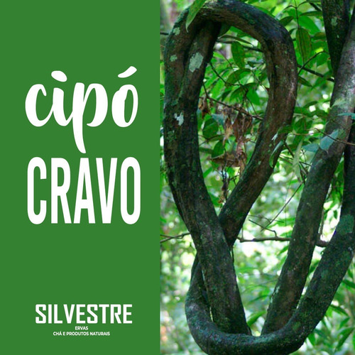Cipó Cravo 100 Gr