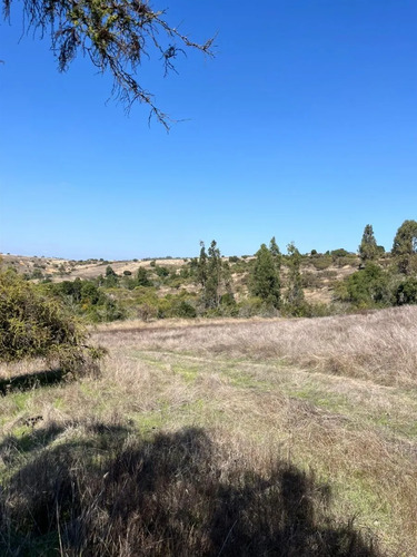 Parcelas A 35 Minutos De Pichilemu, Pie 0