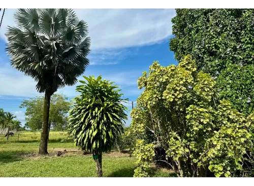Gran Finca Ganadera, Meta