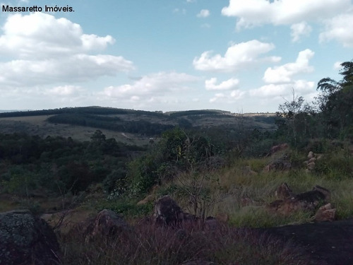Imagem 29 de 30 de Terreno - A Venda - Valinhos - Te00313 - 69815166