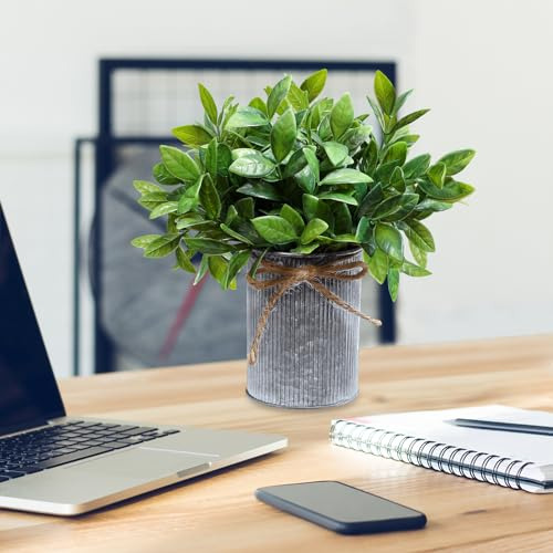 Paquete De 3 Mini Plantas Artificiales En Macetas Rústicas