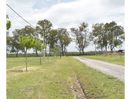 Lote En Piñero 487 Mt2 Frente A La Ruta  Ruta Nacional Ao12 Km 9,5 - Lote 30- Manzana B