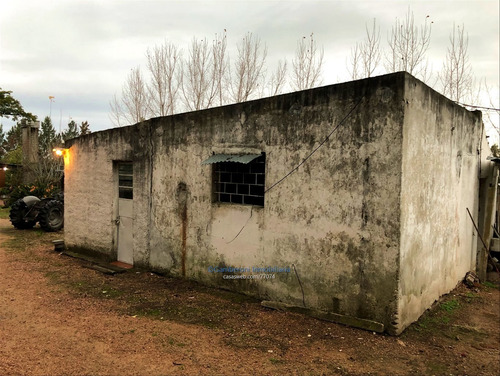 Venta De Granja En Melilla Con Cuatro Casas.