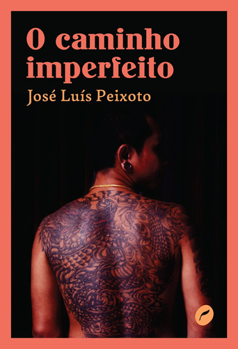 O caminho imperfeito, de Peixoto, José Luís. Série Coleção Gira Editora Dublinense Ltda., capa mole em português, 2020