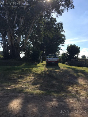Imagen 30 de 30 de Venta - Campo En Cardales - Bayugar Negocios Inmobiliarios