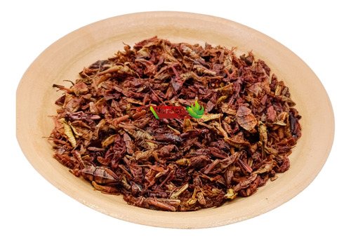 500 Gr Chapulines Sal Y Limón Medianos Oaxaqueños Verdor