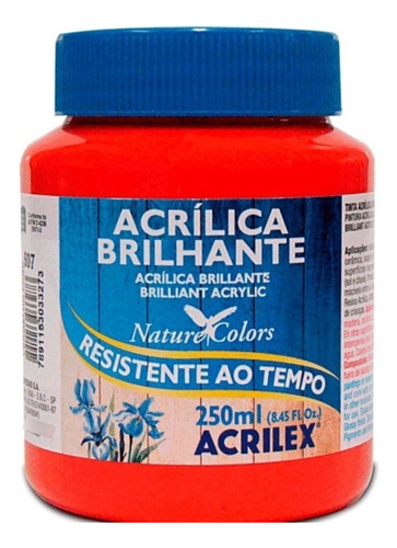 Tinta Acrílica Brilhante Vermelho Fogo 250ml 507 Acrilex