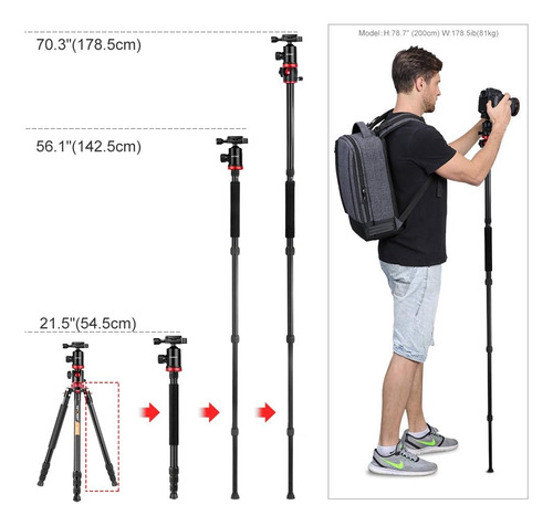 Tripode Para Camara Dslr Universal / Negro | K&f Concept