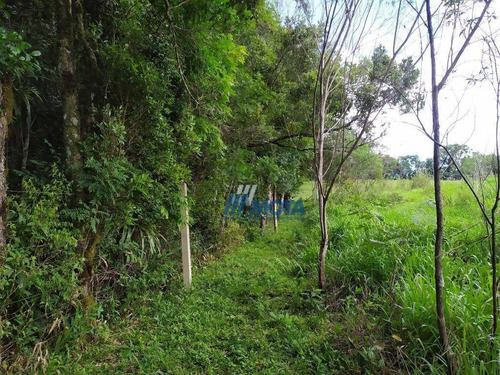 Chácara Com 5 Dormitórios À Venda, 45824 M² Por R$ 850.000 - Quatro Pinheiros - Mandirituba/paraná - Ch0173