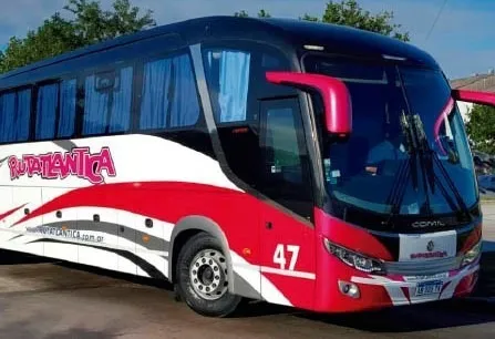 Alquiler De Micro - Minibus - Combi